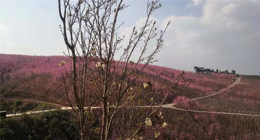 九州ku酷游·(中国集团)官方网站