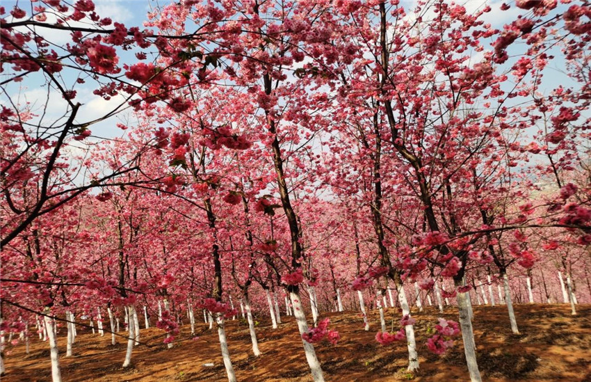 九州ku酷游·(中国集团)官方网站