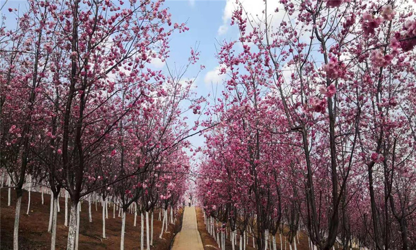 九州ku酷游·(中国集团)官方网站